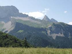 Séjour botanique 2025 (jour 2)
