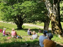 Séjour botanique 2025 (jour 2)