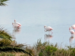 Séjour Marche Nordique (jour 4)