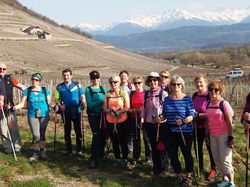 TORMERY DEPUIS ARBIN-