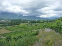 Torméry par les vignes