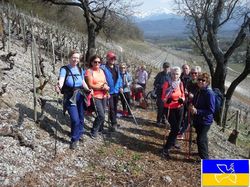Tormery par les vignes