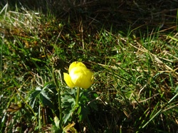 Tour cx du berger (Bauges)
