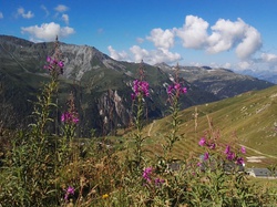 Tour de l'Aiguille Rousse