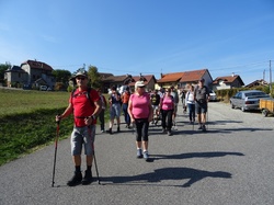 Tour de la forêt de Les Marches