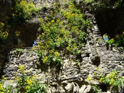 Tour de Montmayeur + Ferme Résistants