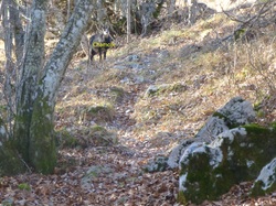 Tour des Ebats 15/12/2016
