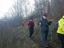 Une marche aux Marches