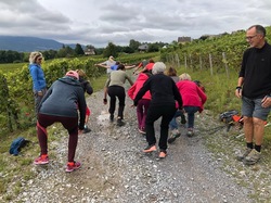 Vignoble de Torméry