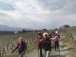 Vignobles de Torméry